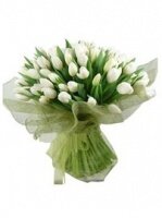 Невесомость