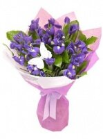 Снежная весна